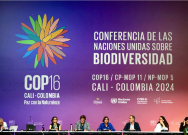 La COP16 en Cali: evento global que define el futuro de la biodiversidad