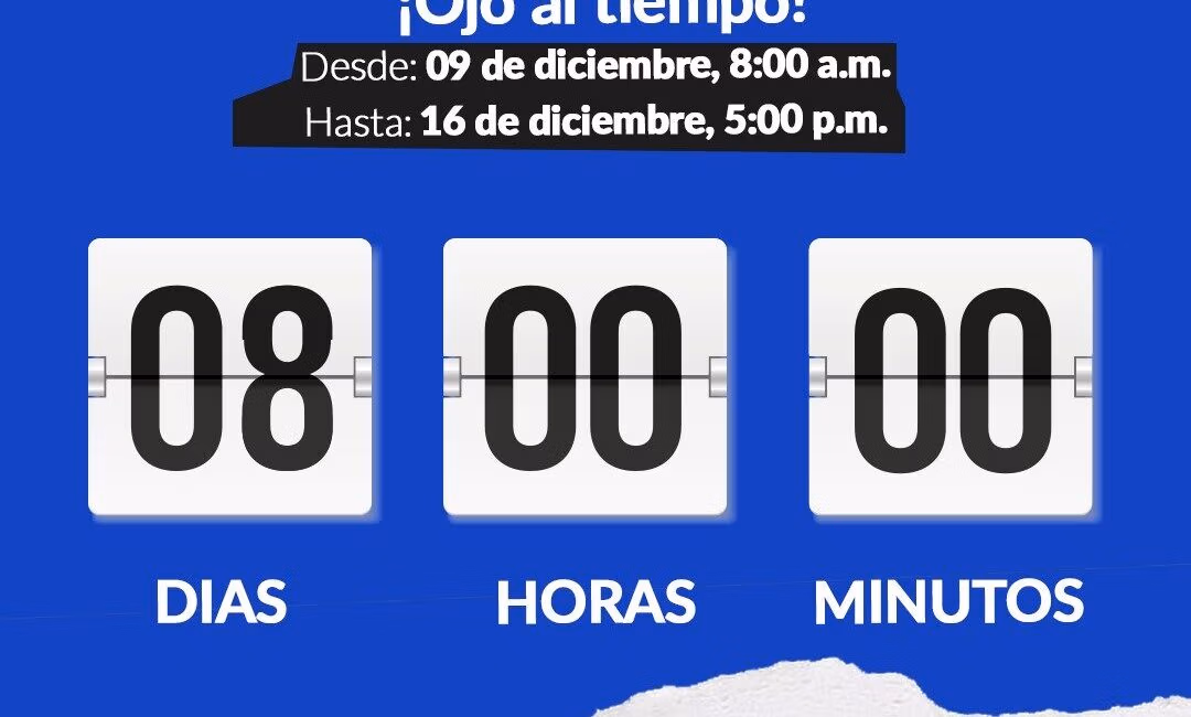 asignación SSO 2026